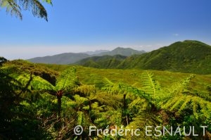 Parc National de La Guadeloupe