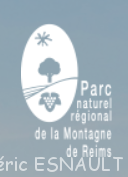 Parc Naturel Régional de la Montagne de Reims