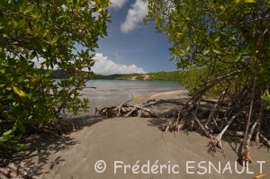 Réserve Naturelle Nationale de la Presqu’île de la Caravelle